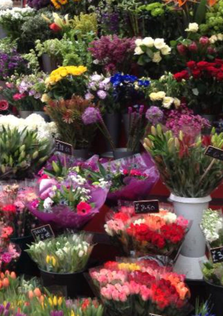 Market Flowers this season's offerings